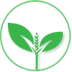 小禾logo